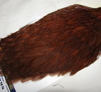 American hen cape dk. brown  Whiting 